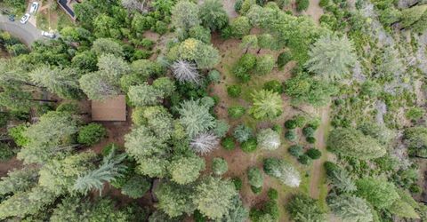 21016 Sierra Circle Dr, Pioneer, CA 95666 Photo