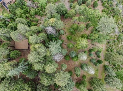 21016 Sierra Circle Dr, Pioneer, CA 95666 Photo