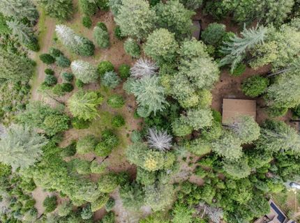 21016 Sierra Circle Dr, Pioneer, CA 95666 Photo