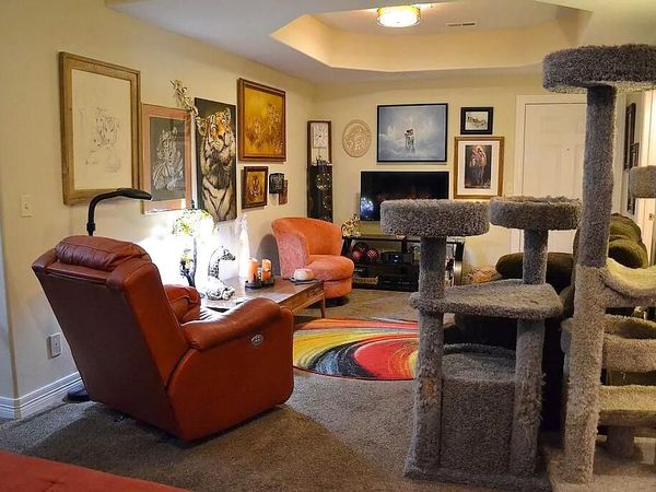 180 Grace Chapel Road , Unit 221, Blue Eye, MO 65611