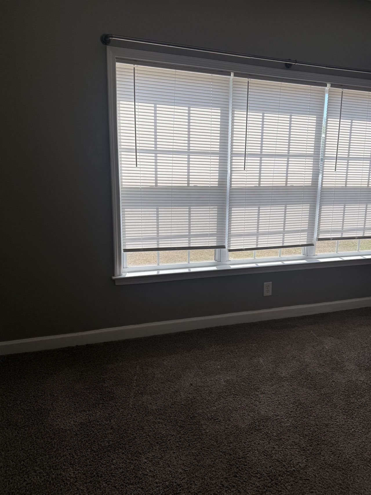 101 Westhaven Dr.  Photo 10