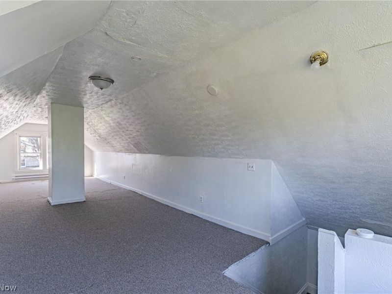 10901 Dove Avenue, Cleveland, OH 44105 Photo 25