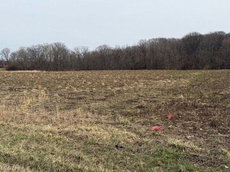 S Madison Road, Madison, OH 44057 Photo 10