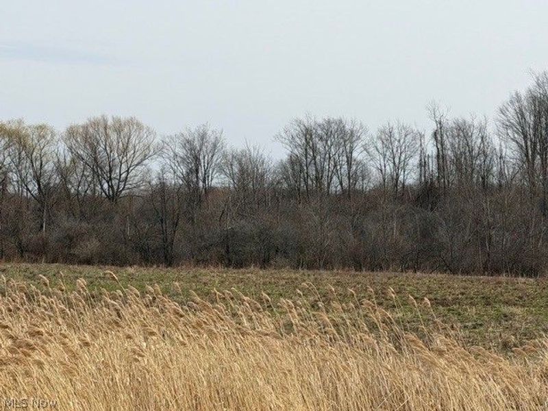 S Madison Road, Madison, OH 44057 Photo 2