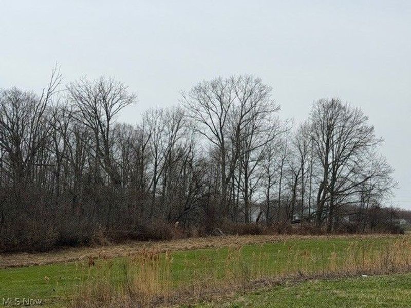 S Madison Road, Madison, OH 44057 Photo 3