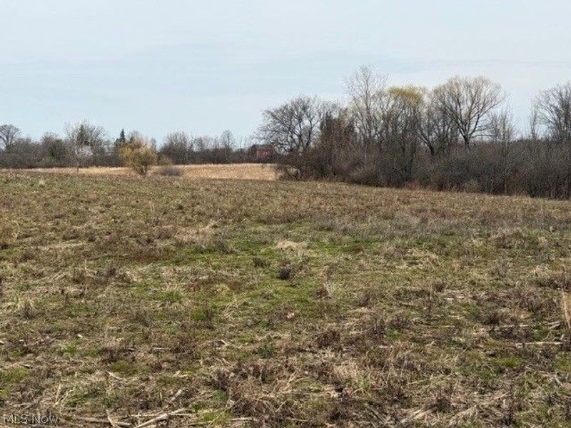 S Madison Road, Madison, OH 44057 Photo 4