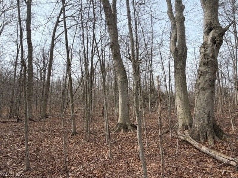 S Madison Road, Madison, OH 44057 Photo 6