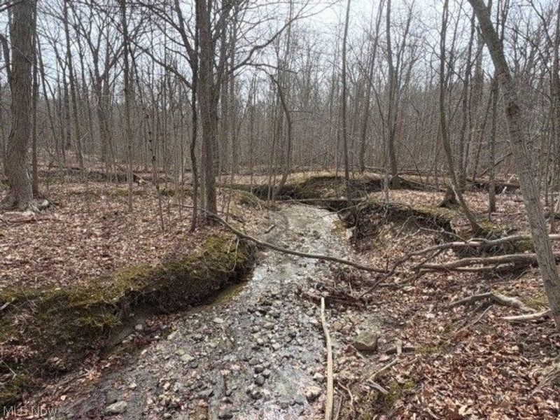 S Madison Road, Madison, OH 44057 Photo 7