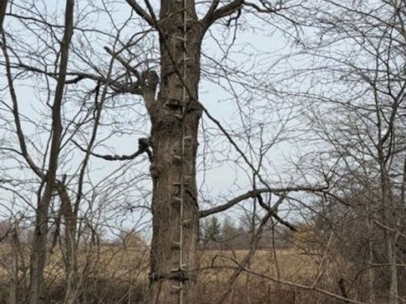 S Madison Road, Madison, OH 44057 Photo 8