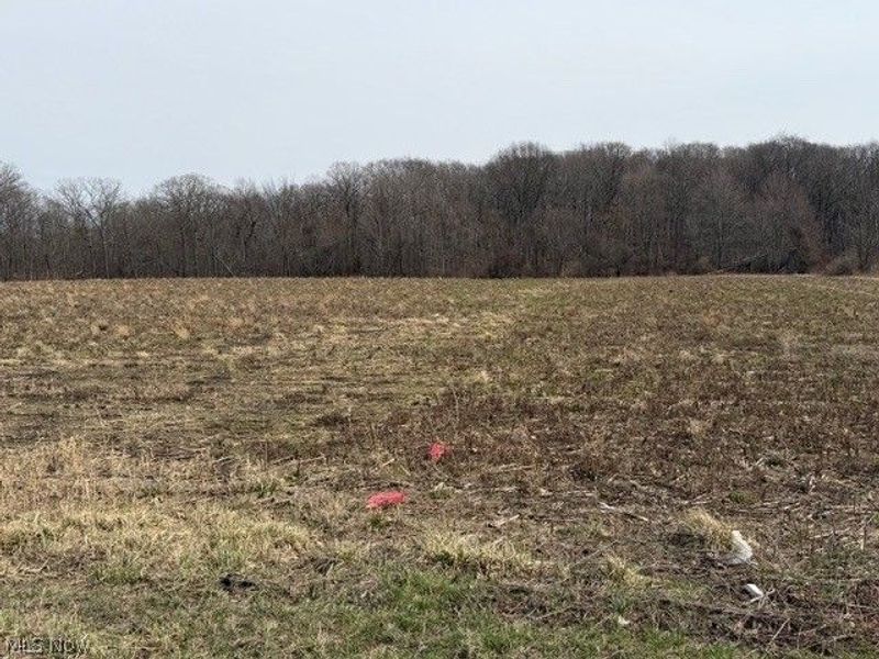 S Madison Road, Madison, OH 44057 Photo 9