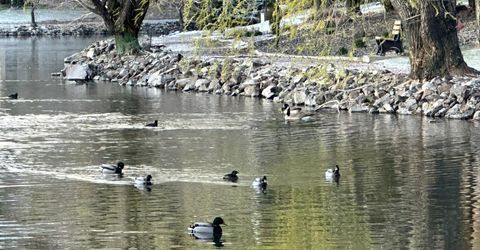 4557 Reggie Road, Reno, NV 89502 Photo