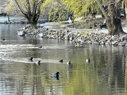 4557 Reggie Road, Reno, NV 89502 Photo