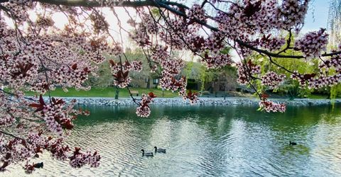 4557 Reggie Road, Reno, NV 89502 Photo