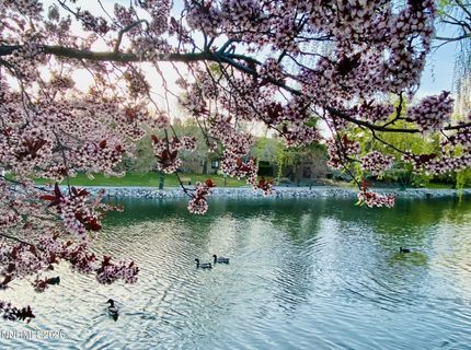 4557 Reggie Road, Reno, NV 89502 Photo