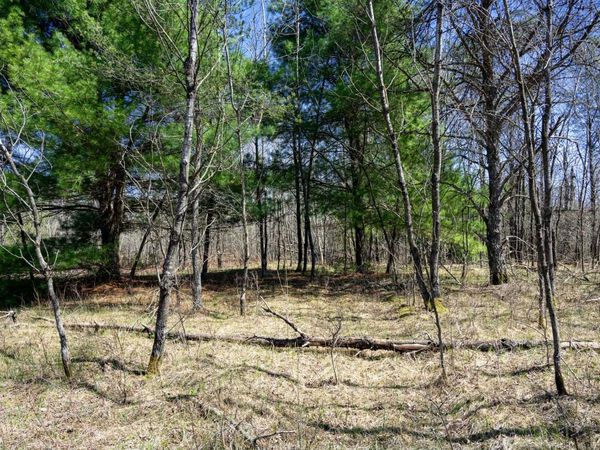 13.34 Ac 22nd Street, Necedah, WI 54646