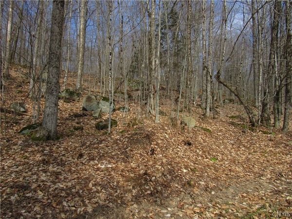 Capron Road W, Forestport, NY 13338