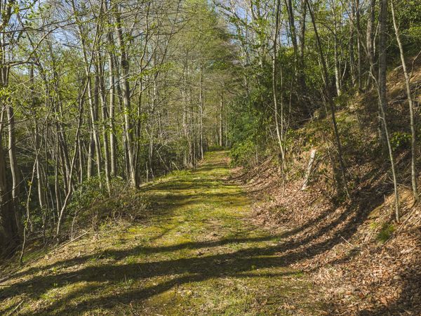 TBD Black Ridge RD SW, Floyd, VA 24091