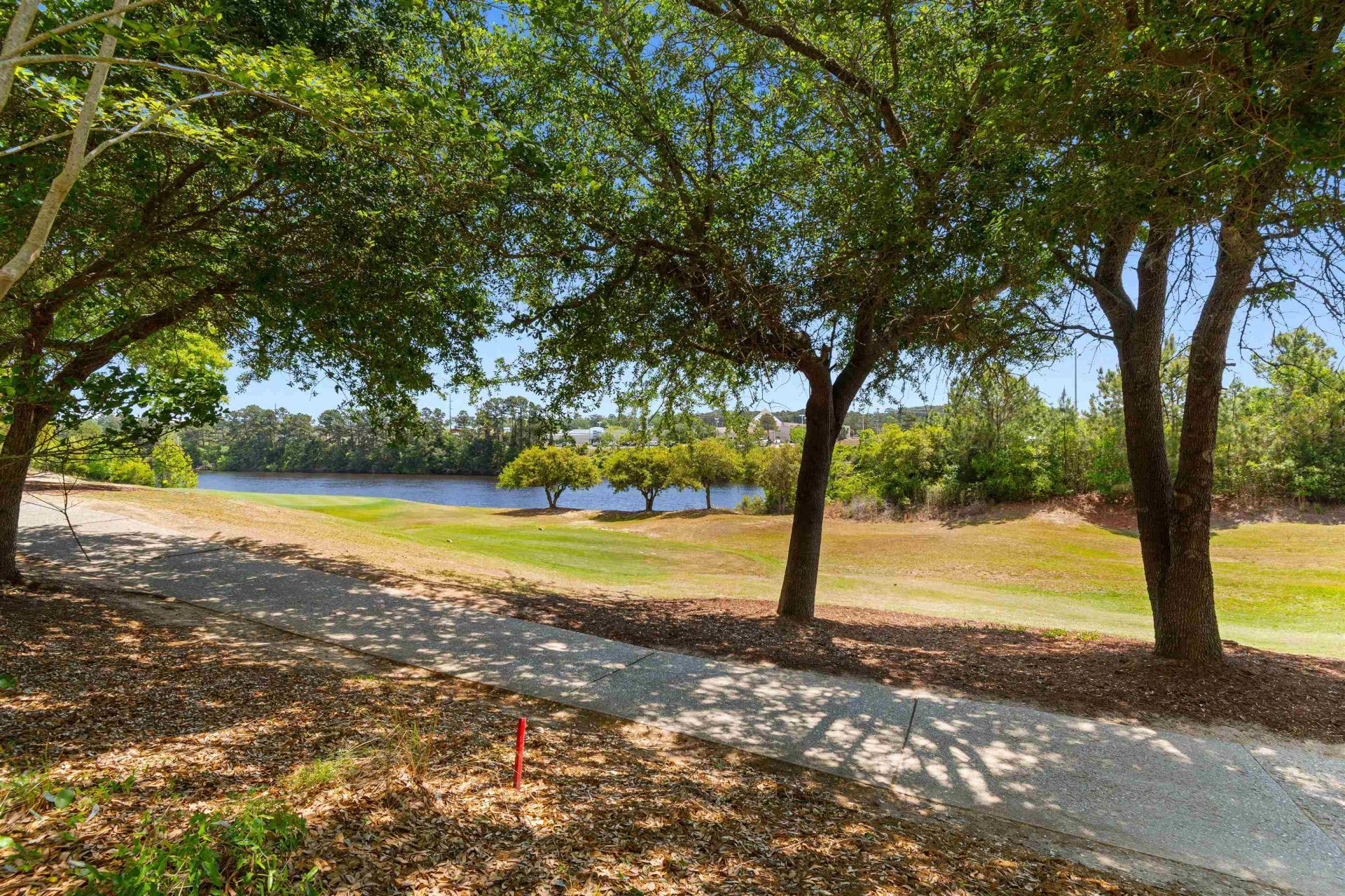 6203 Catalina Dr. Photo 26