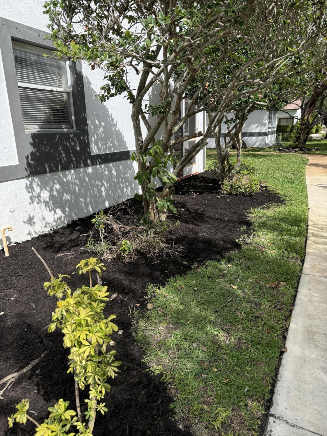 9831 NW 24th Street, Sunrise, FL 33322 Photo