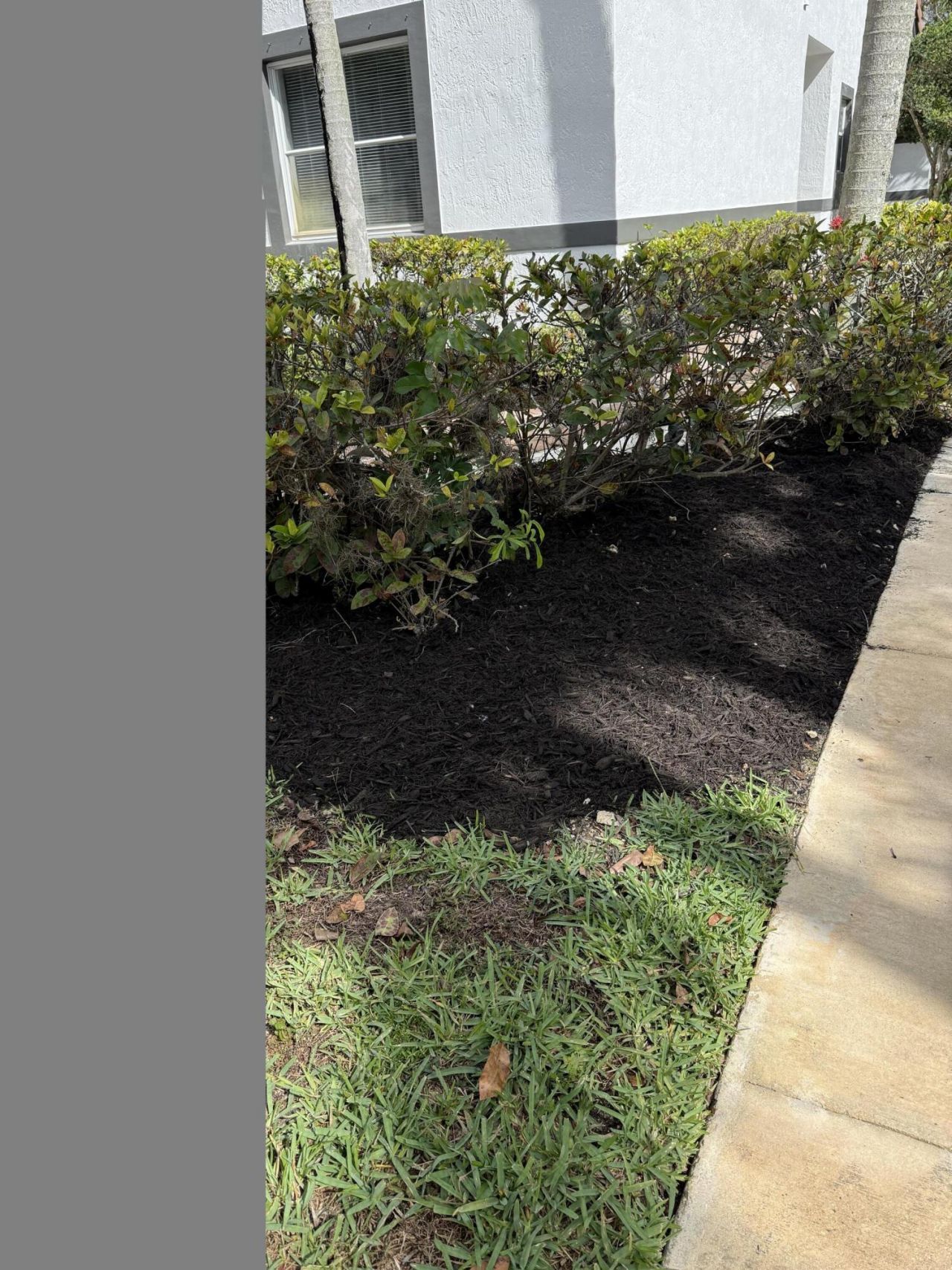 9831 NW 24th Street, Sunrise, FL 33322 Photo