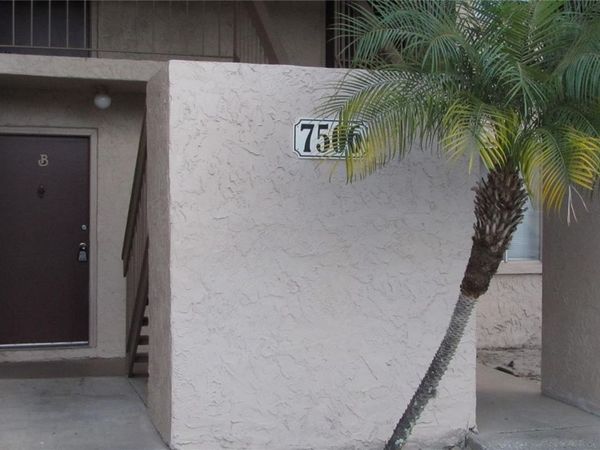7506 NEEDLE LEAF PLACE , Unit 56, TAMPA, FL 33617