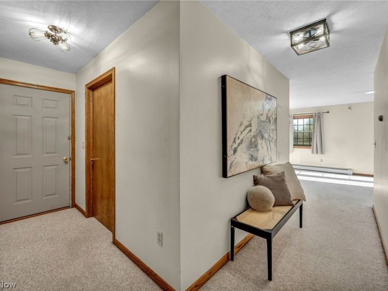 10712 W Ridge Road, Carlisle, OH 44035 Photo 24