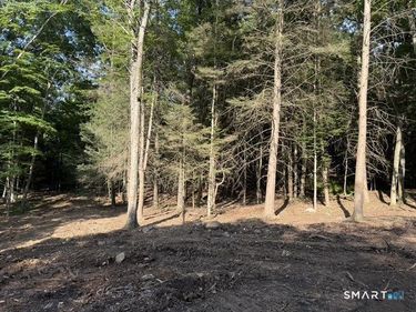 Lot 1 West Chalybes, Roxbury, CT 06783