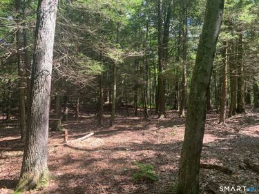 Lot 1 West Chalybes , Roxbury, CT 06783