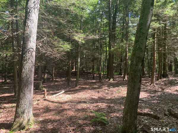 Lot 1 West Chalybes , Roxbury, CT 06783