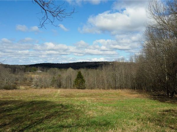 Ramey Road , Pittsfield, NY 13411