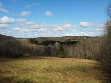 Jennison Road, Pittsfield, NY 13411