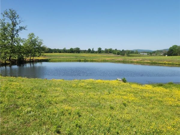 933 Walnut Road , Hector, AR 72843