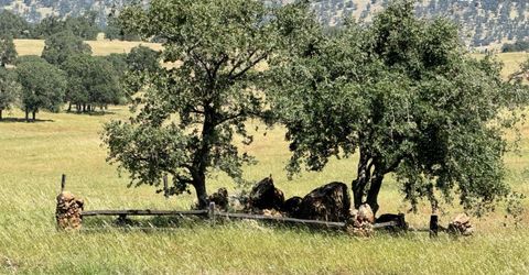 9844 Banderilla Dr, La Grange, CA 95329 Photo