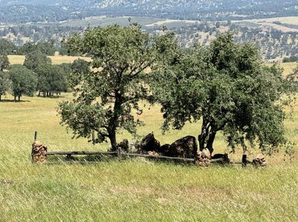 9844 Banderilla Dr, La Grange, CA 95329 Photo