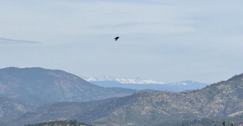 9844 Banderilla Dr, La Grange, CA 95329 Photo