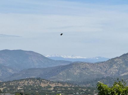 9844 Banderilla Dr, La Grange, CA 95329 Photo