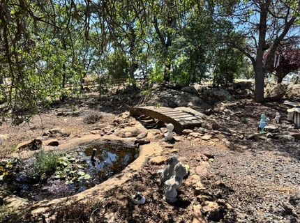 9844 Banderilla Dr, La Grange, CA 95329 Photo