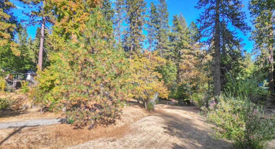 728 Old Washington Rd, Nevada City, CA 95959 Photo