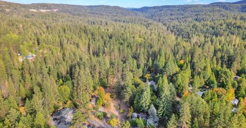 728 Old Washington Rd, Nevada City, CA 95959 Photo