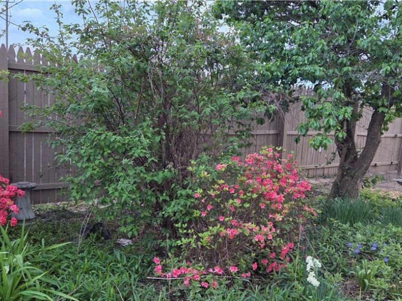 700 Whipple Avenue NW, Canton, OH 44708 Photo 20