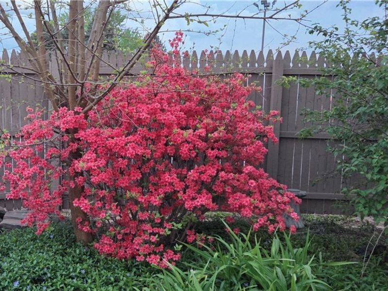 700 Whipple Avenue NW, Canton, OH 44708 Photo 21