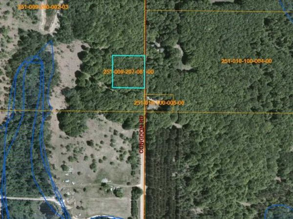 13200 Congdon Road, Wolverine, MI 49799