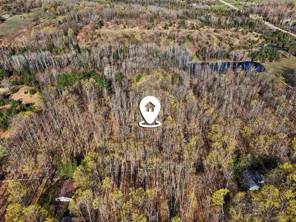 13200 Congdon Road, Wolverine, MI 49799