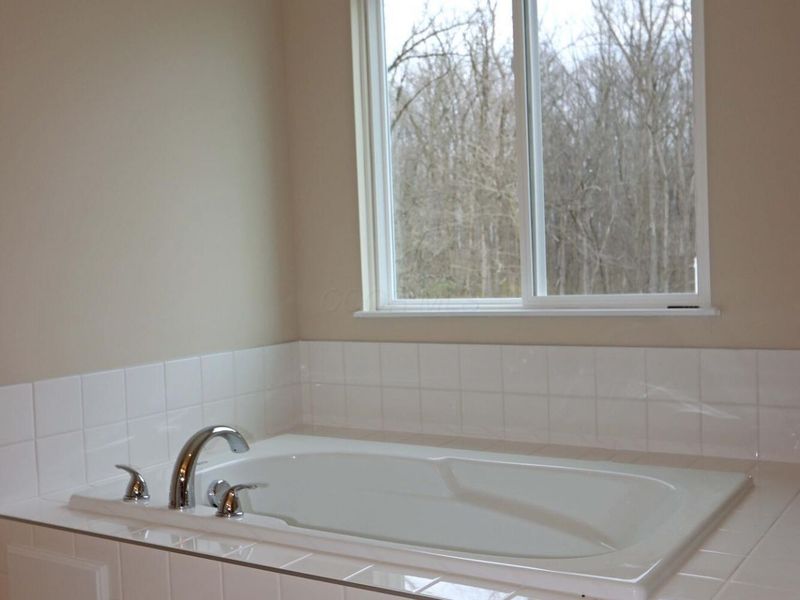 6540 Tanseyclose Lane, Dublin, OH 43016 Photo 59