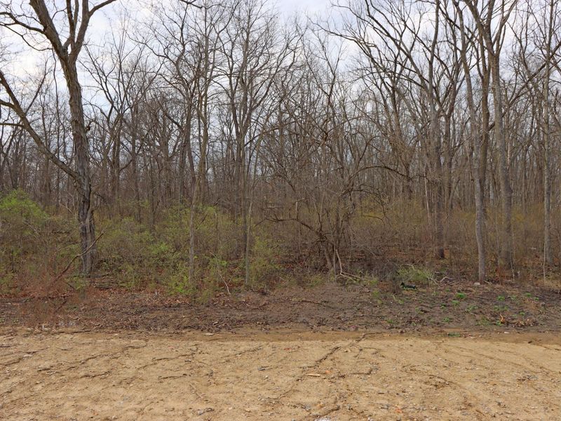 6540 Tanseyclose Lane, Dublin, OH 43016 Photo 83