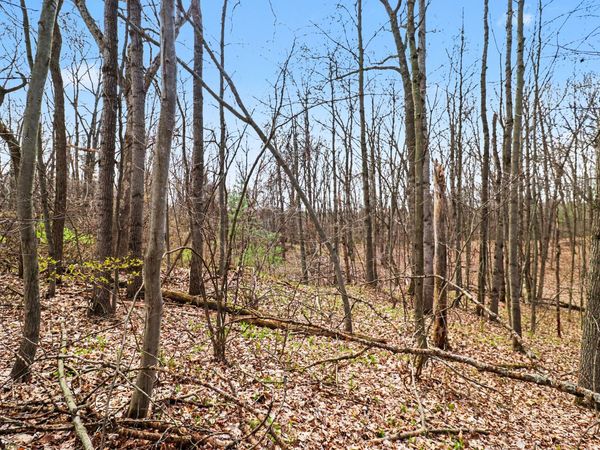 6940 19 Mile Road NE, Cedar Springs, MI 49319