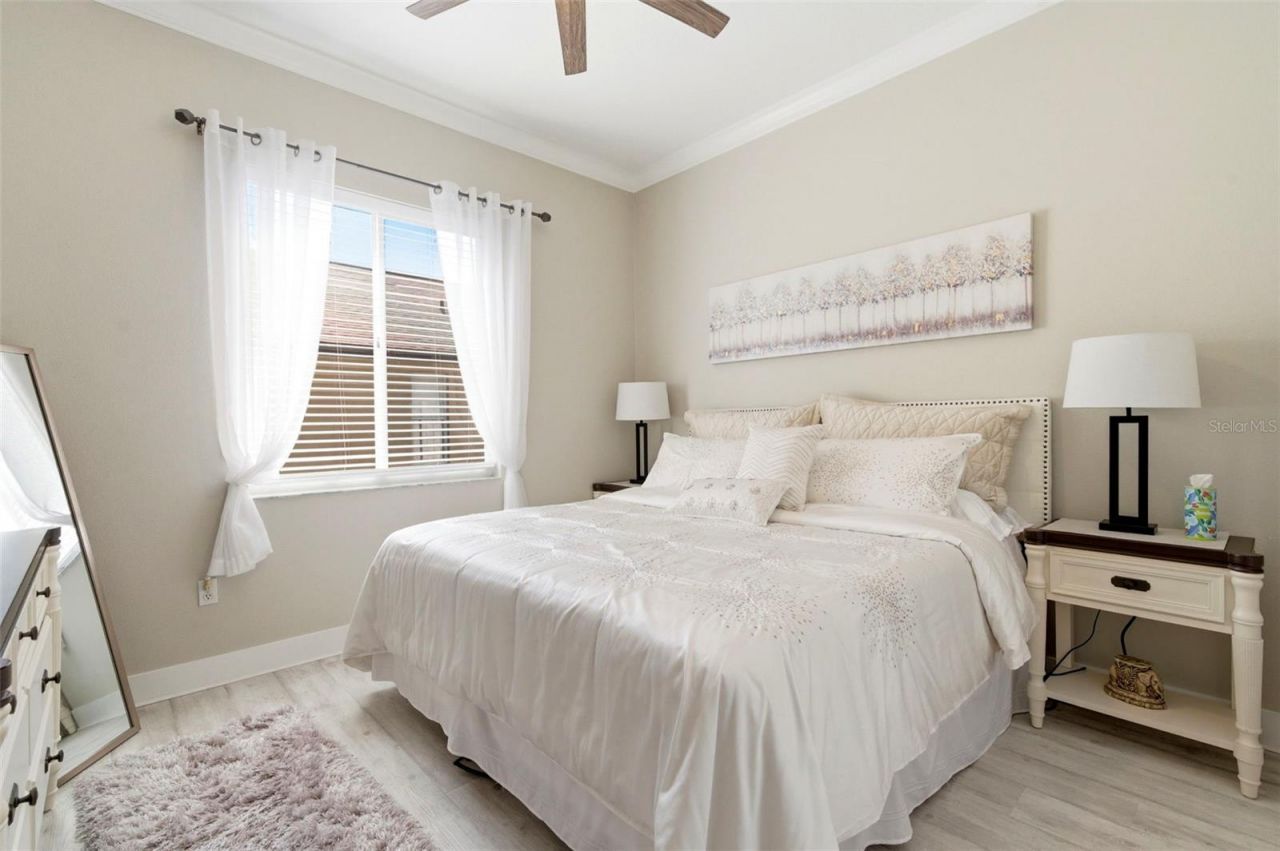 8530 Orsi Court , Trinity, FL 34655 Photo