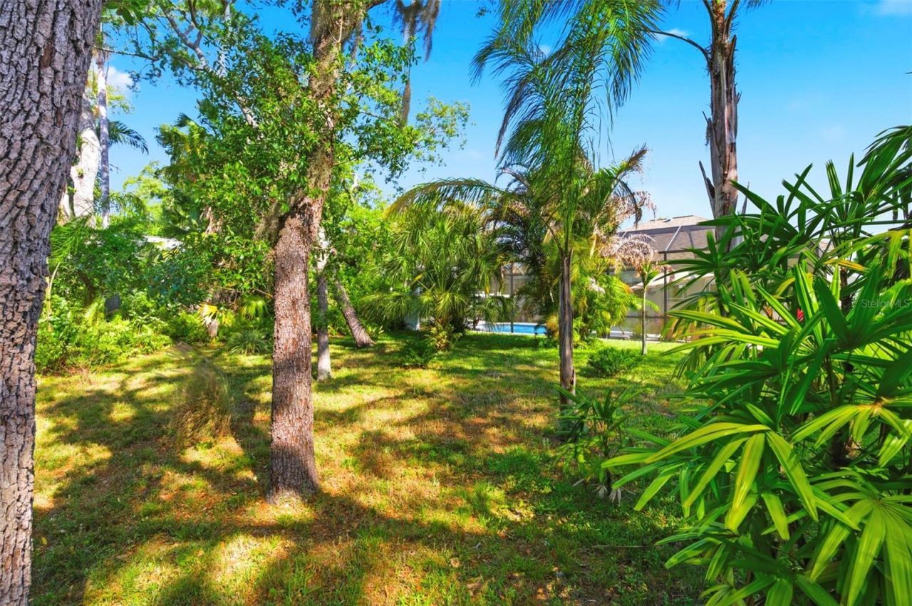 8530 Orsi Court , Trinity, FL 34655 Photo