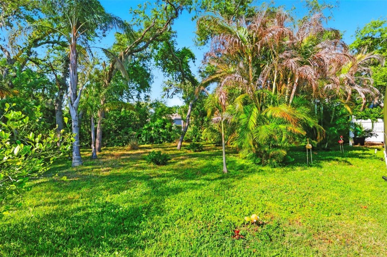 8530 Orsi Court , Trinity, FL 34655 Photo