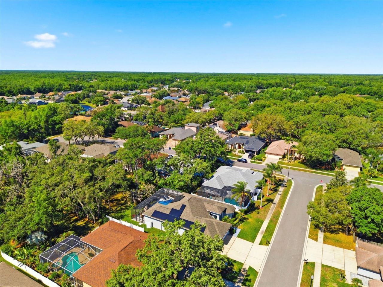 8530 Orsi Court , Trinity, FL 34655 Photo